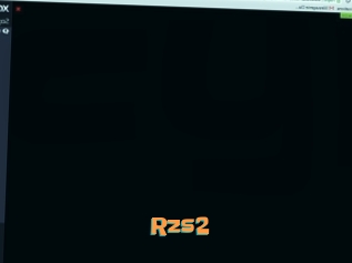 Rzs2