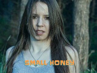 SMALL_HONEY
