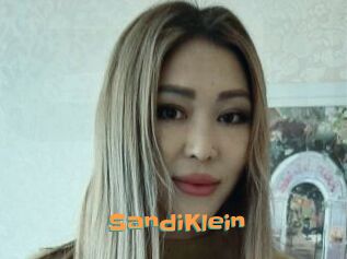 SandiKlein