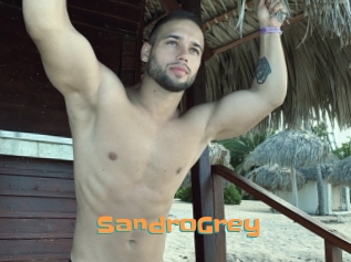 SandroGrey Cyberhuren