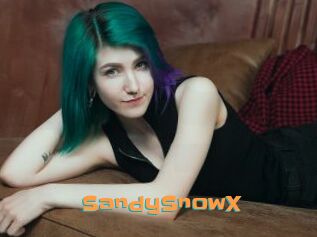 SandySnowX