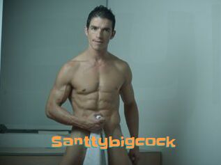 Santtybigcock