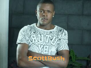 ScottBush