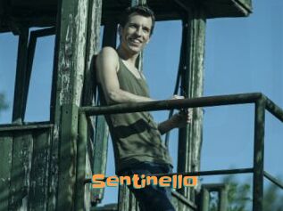 Sentinello