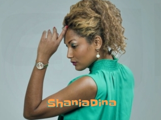 ShaniaDina Cyberhuren
