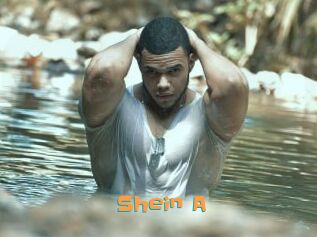 Shein_A