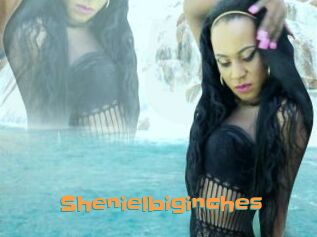 Shenielbiginches