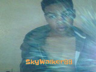SkyWalker88