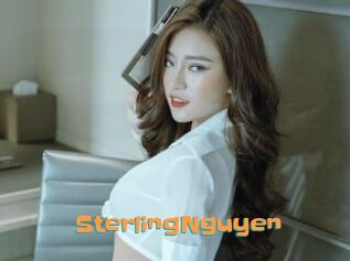 SterlingNguyen