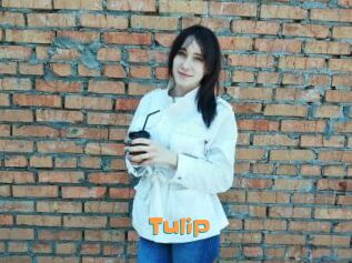 Tulip