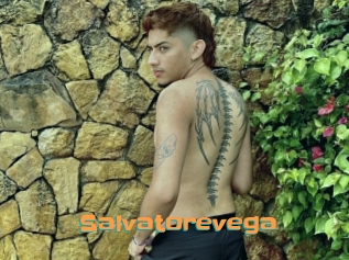Salvatorevega