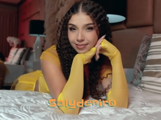 salydeniro Cyberhuren