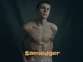 Samledger