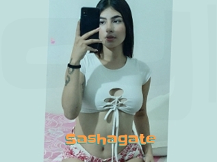 Sashagate
