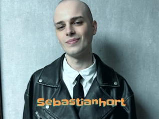 sebastianhort Cyberhuren