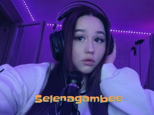 Selenagambee