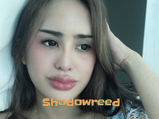 Shadowreed