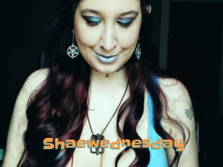 Shaewednesday