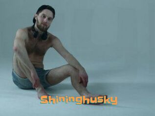 Shininghusky