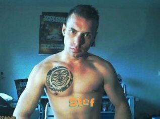 Stef