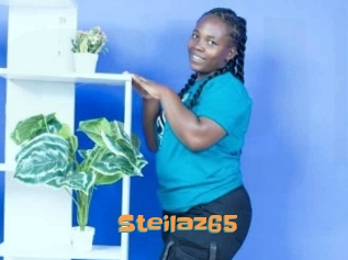 Steilaz65