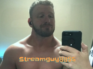 Streamguy8895