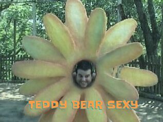 TEDDY_BEAR_SEXY