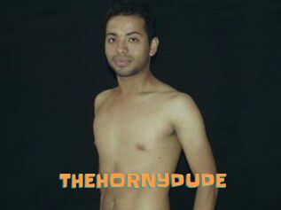 THEHORNYDUDE