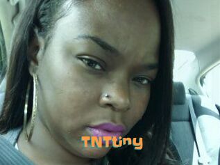 T_N_Ttiny