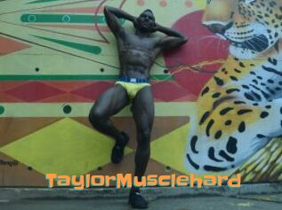 TaylorMusclehard