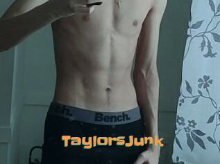 TaylorsJunk