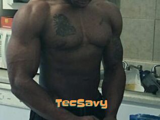 TecSavy