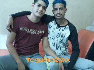 Tegusta29xx