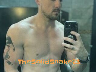 TheSolidSnake23