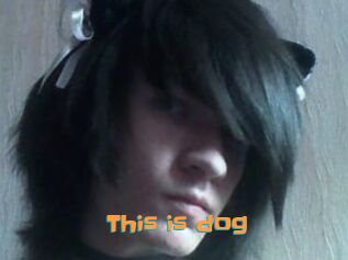 This_is_dog