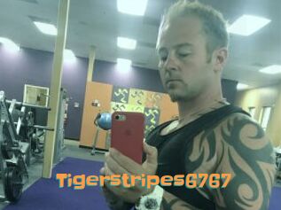 Tigerstripes6767