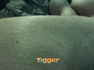 Tigger