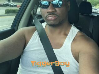 TiggerBoy