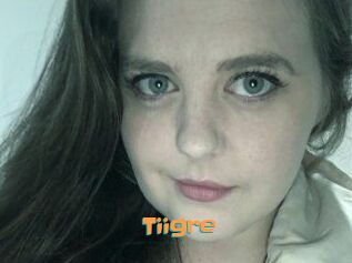 Tiigre_