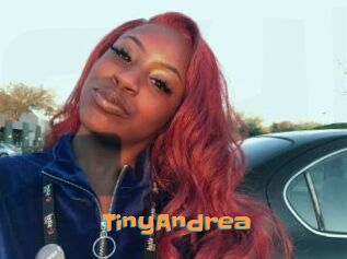 TinyAndrea