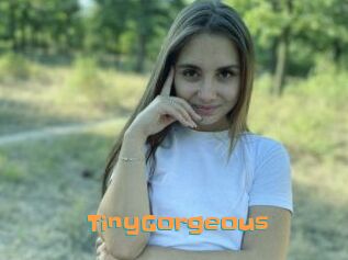 TinyGorgeous