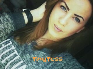 TinyTess