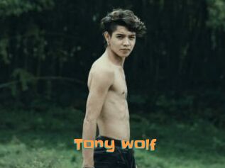 Tony_wolf