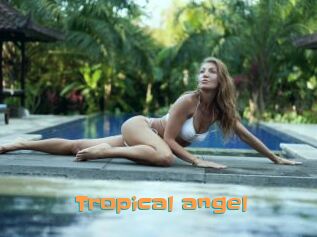 Tropical_angel