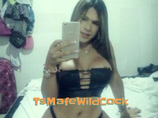 TsMafeWildCock