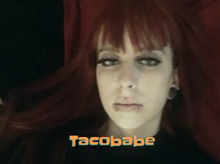 Tacobabe