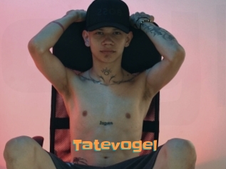 Tatevogel