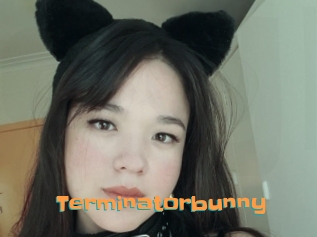 Terminatorbunny