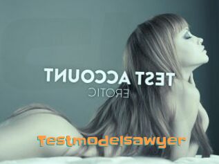 Testmodelsawyer