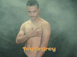 Teylorgrey